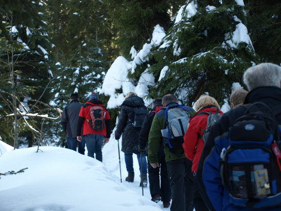 Teufelstischtour Januar 2019